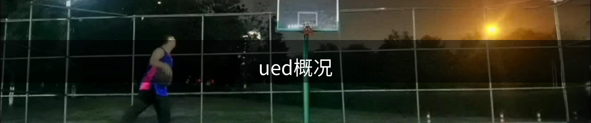 ued概况